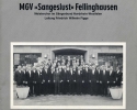 Sangeslust-Fellinghausen-Vorderseite