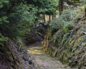 Ohrndorfer Schlag, Freudenberg