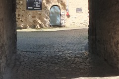 1000014101
