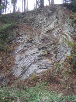 Der Steinruch bei Beddelhausen wurde wegen seiner beeindruckenden Gesteinsfaltung von Fachwiisenschaftlern als eines der 77 spektakulärsten Geotope Deutschlands ausgewählt.